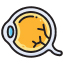 Floaters & Light Sensitivity Consultation