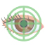 General Eye Consultation
